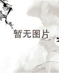 我乃路易十四